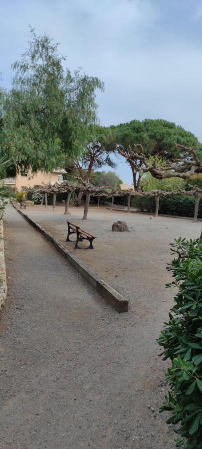 Les Galaxies Studio Avec Balcon 20 Mn De La Frejus